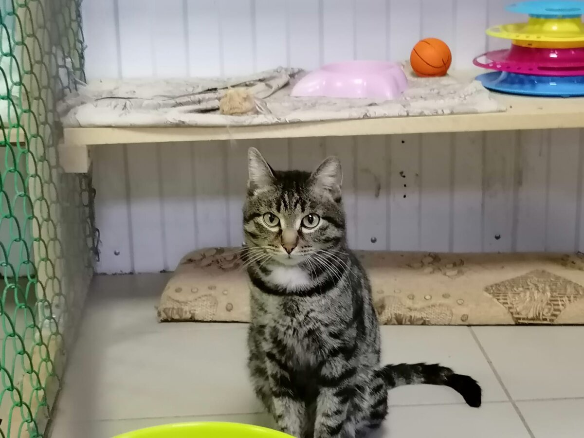 Гена. Красавец ведь правда