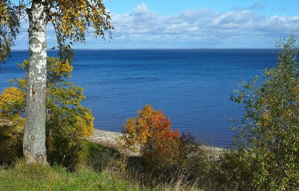 Озеро Ильмень – классический образец красоты природы русской земли.