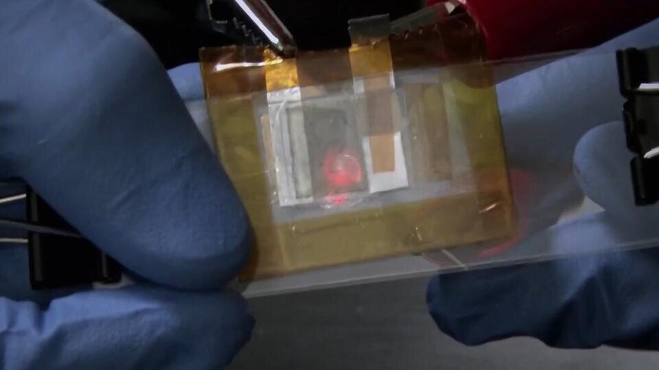 Фото: © Скриншот видео