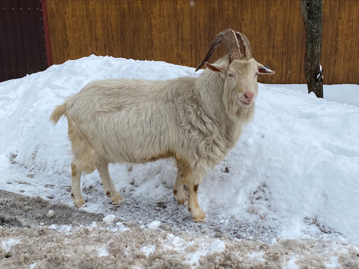 Зимняя встреча 