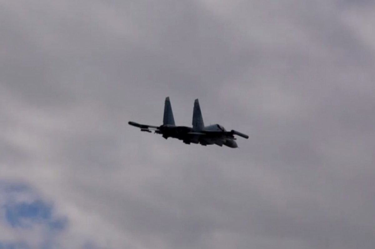    ВКС России нанесли удар по иностранным инструкторам в Черниговской области