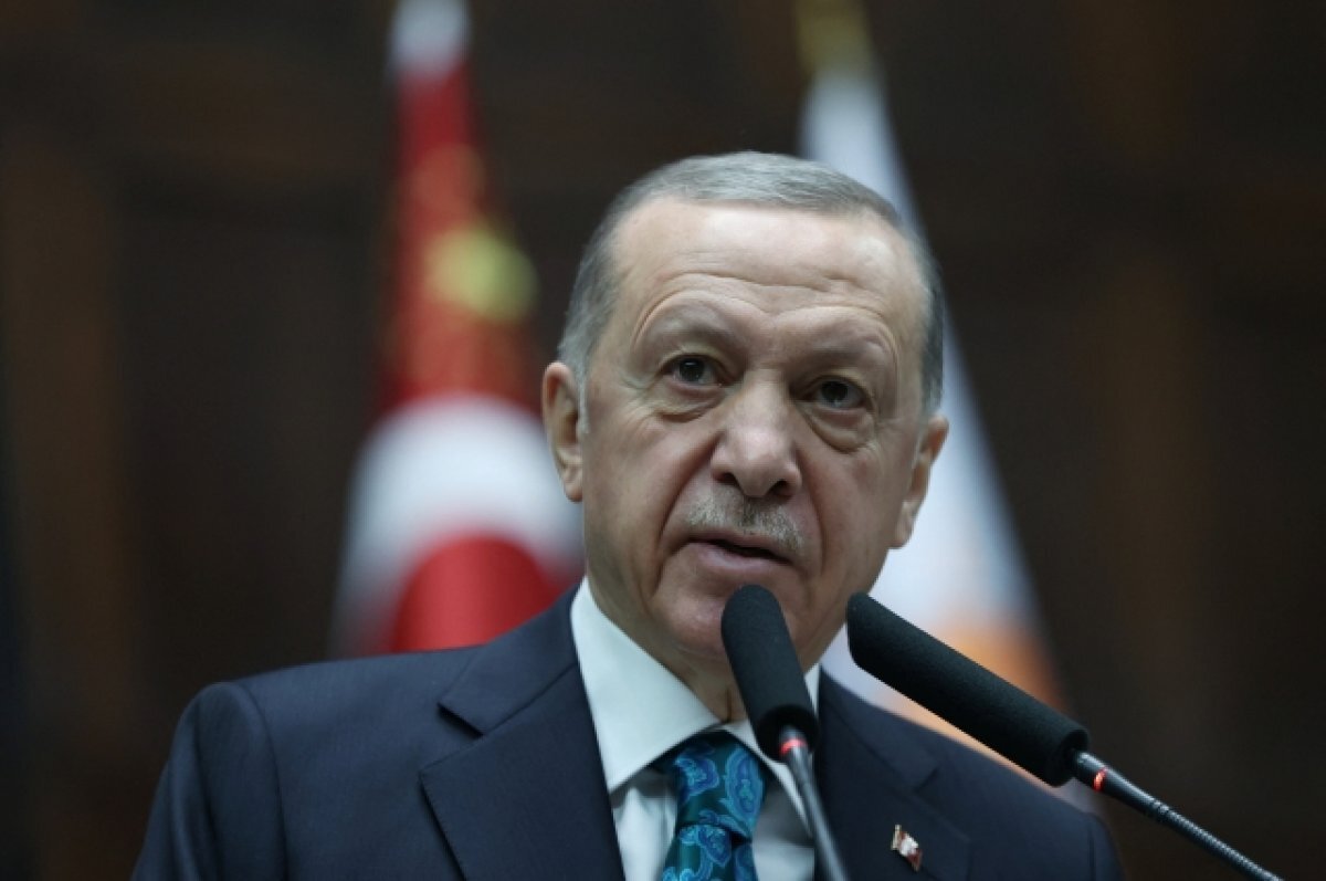    Hürriyet: Эрдоган даст присягу в парламенте Турции до конца недели