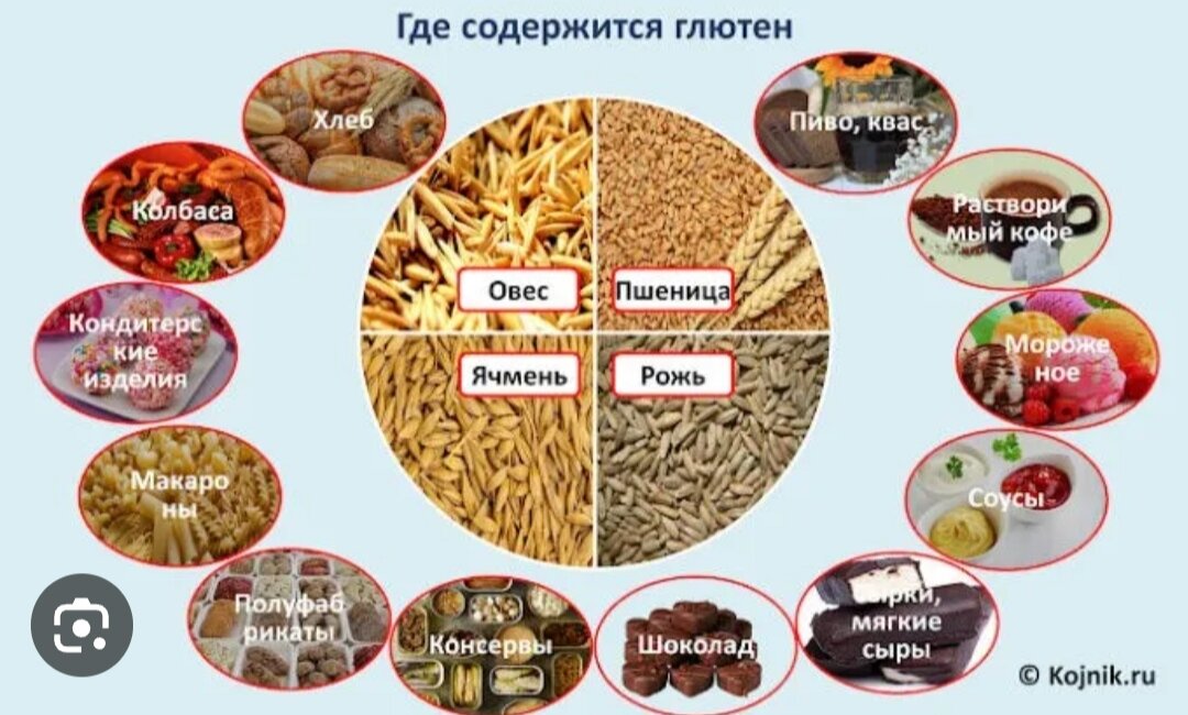 Глютен в каких продуктах. Продукты с высоким содержанием глютена список. Продукты где содержится глютен. Злаки содержащие глютен. Продукты и крупы с глютеном список.