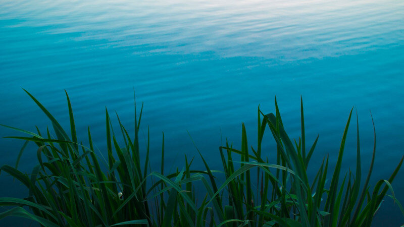     Озеро. Водоем. СС0