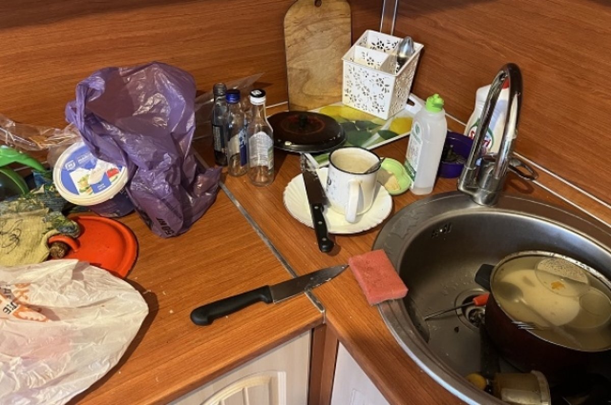    Тольяттинка ударила ножом оскорблявшего её сожителя во время попойки