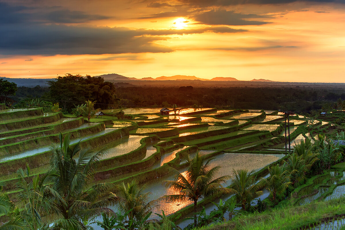    Фото: My Good Images / Shutterstock.com