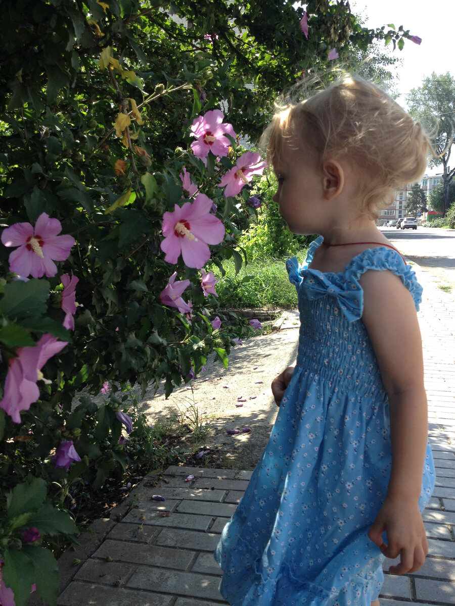 Красота города Горячий Ключ