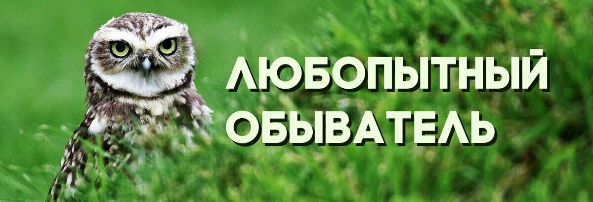 Алмаз и карандашный графит состоят из одного химического элемента ...