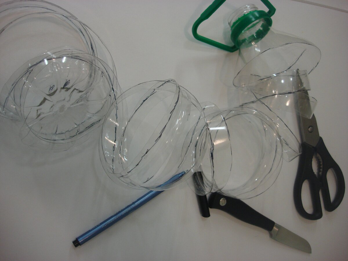 Фото сделано автором (сделала надрезы)