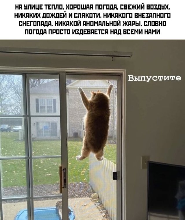 Фото взято из бесплатных источников Яндекс картинок 