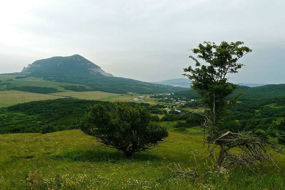 Заказник гора Бештау