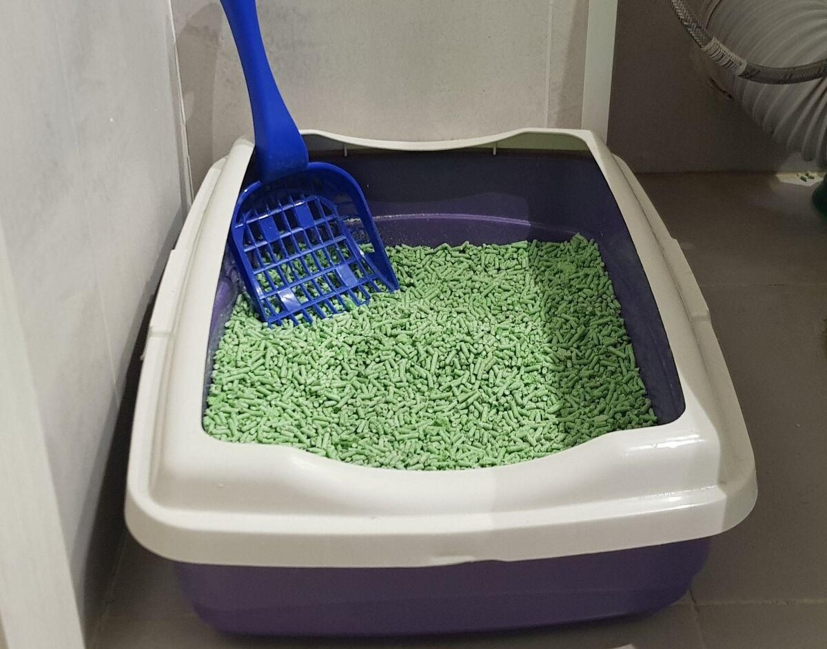 Удобный лоток