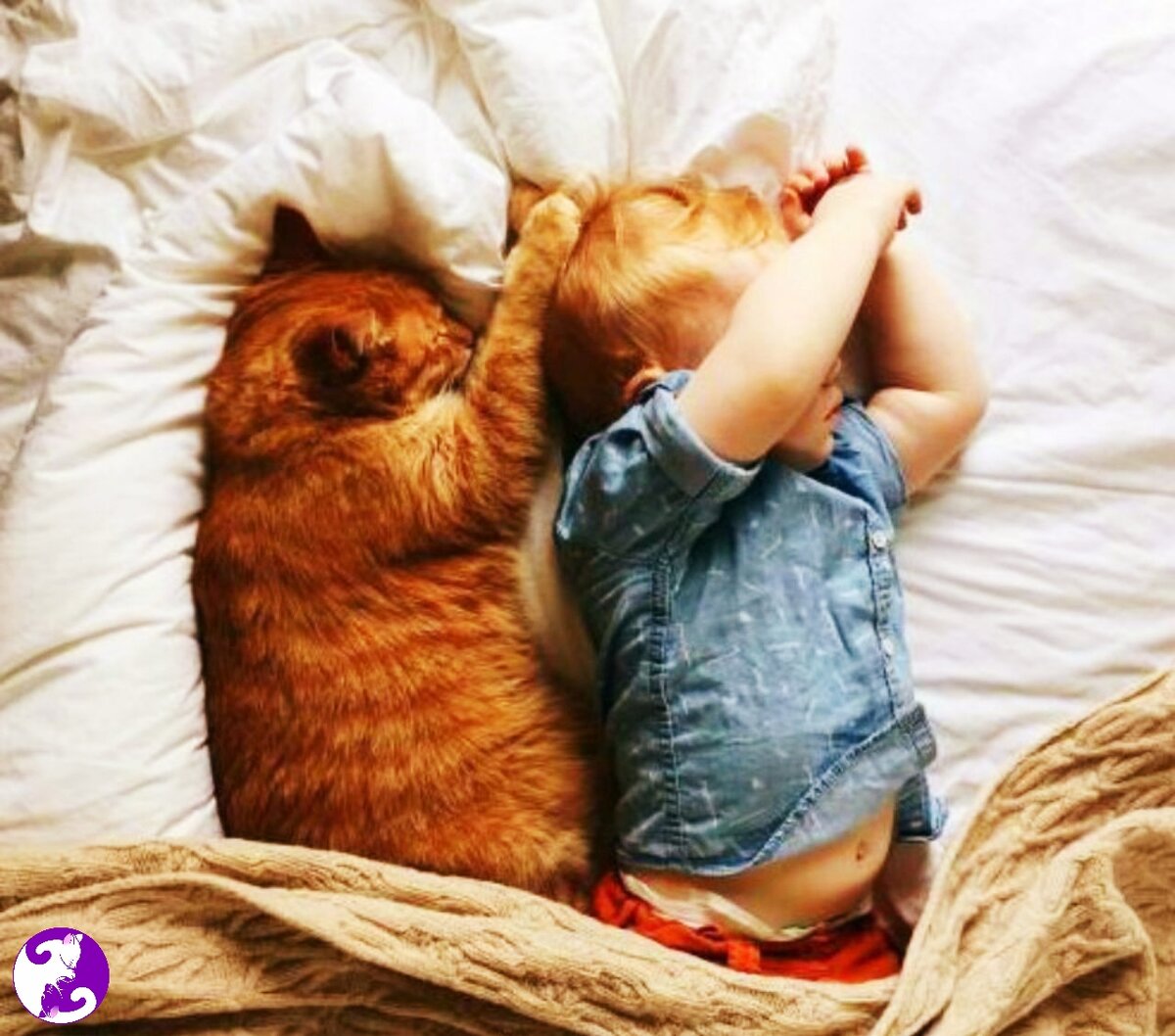 Источник: Yandex