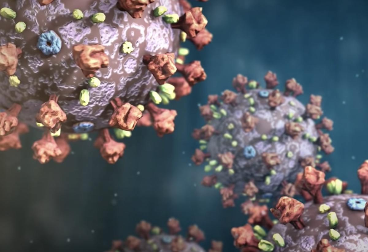 Так выглядит модель того самого COVID-19.