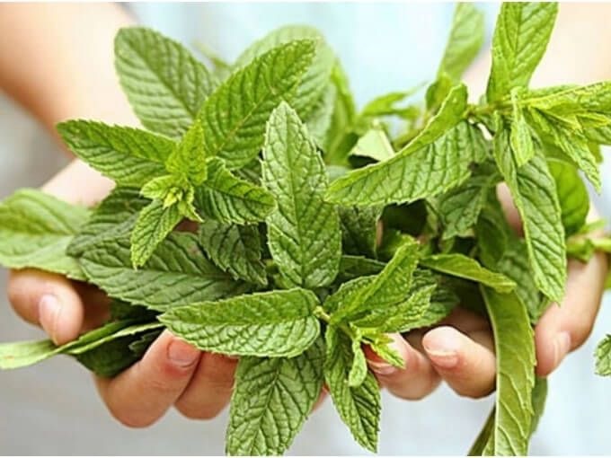 Источник:https://pin.it/4SmD3a4