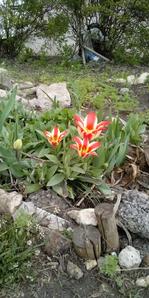 Фото из личного  архива. 