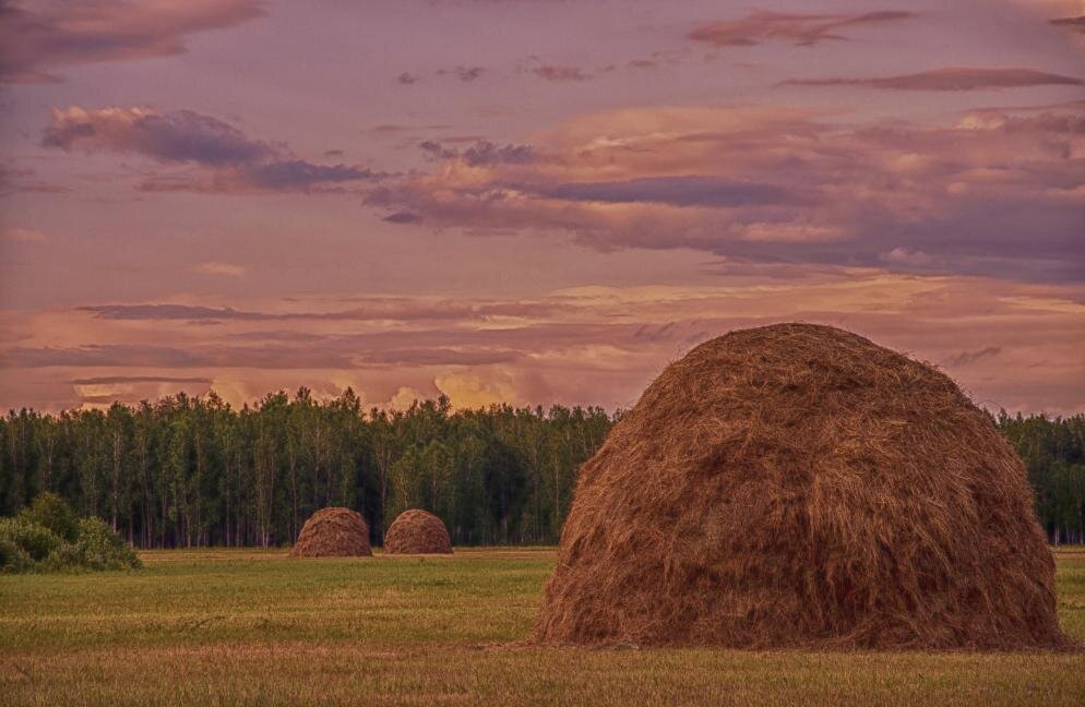 Фото из Яндекс Картинок