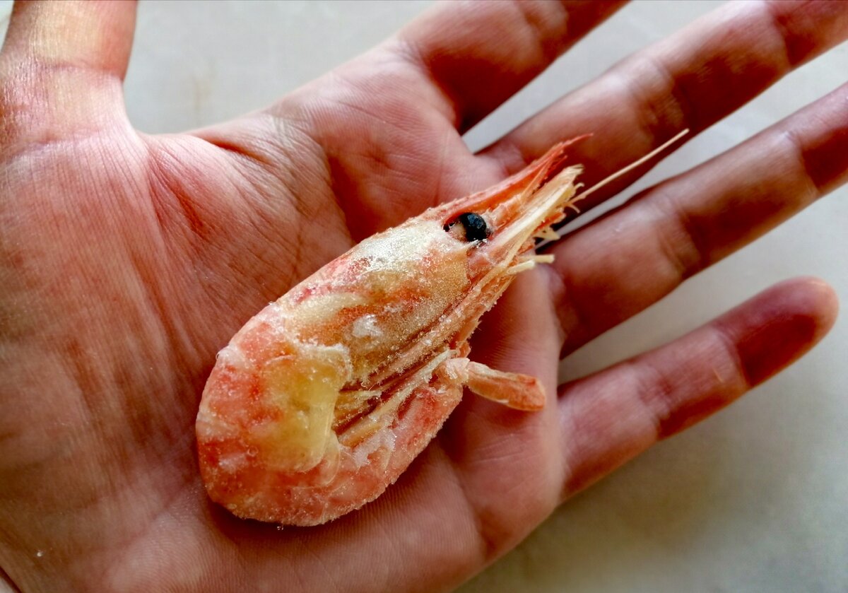 Никакого льда, лишь сухая заморозка