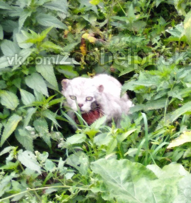 Андрей выложил пост с этим фото