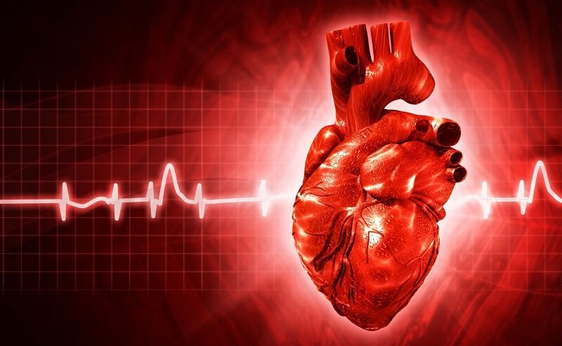 Кровообращение