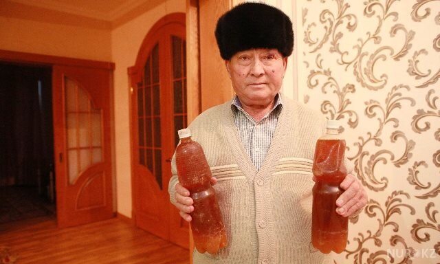 Удивительный факт: чтобы моча обладала целебными свойствами, верблюд должен быть не старше двух лет и иметь всего один горб. Фото: dairynews.ru