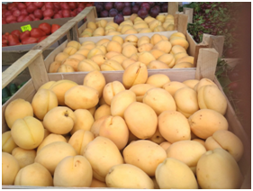 Apricots on the counter. Almost odorless and weak apricot flavor. But in it we are looking for useful substances.