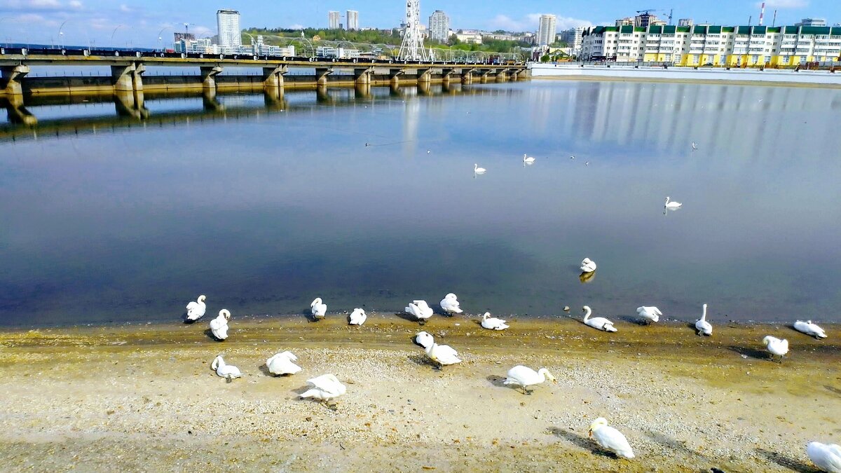 Все фото принадлежат автору.  Свободное использование со ссылкой на этот блог