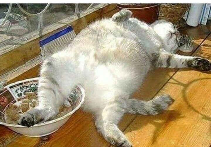 Президент России Владимир Путин в понедельник, 11 мая, проведет совещание, на котором будет обсуждаться эпидемиологическая ситуация в стране и возможность продления режима нерабочих дней. Об этом 10 мая сообщил пресс-секретарь главы государства Дмитрий Песков.