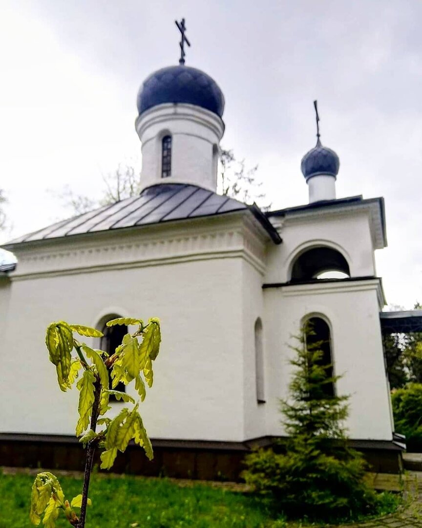 Дубочек у Храма-часовни Усекновения Главы Иоанна Предтечи