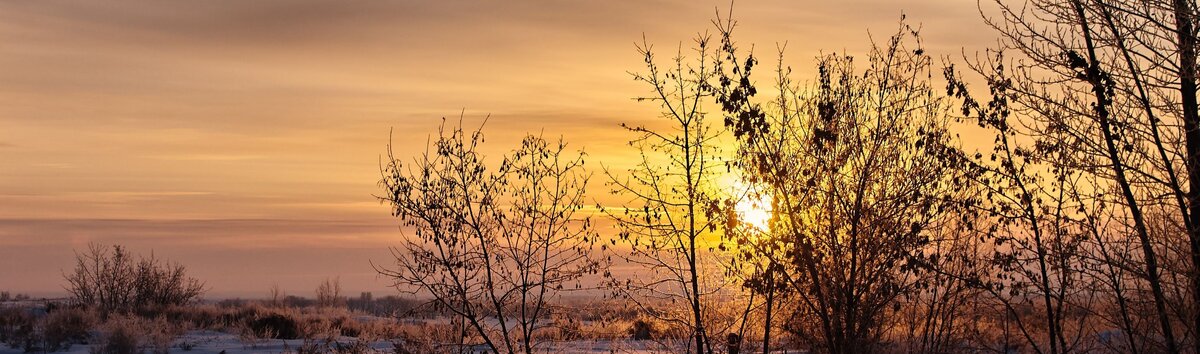 Загородный отдых