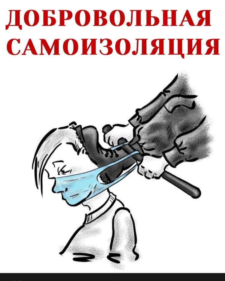 Добровольная самоизоляция. Из открытых источников сети Интернет
