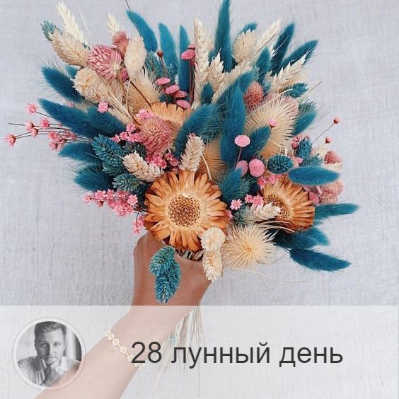 28-ой лунный день с 03:52 20-ого по 04:05 21-ого. 🔆 Время, когда можно постичь свое предназначение и смысл жизни.
🌸 Символ дня - лотос, карма.
🎂 Люди, рождённые в этот лунный день, несут добро и свет. Не развивающиеся люди отличаются отсутствием эмоций и привязанностей.
💍 Камни - аметист, аквамарин, опал.
🌞 В этот день идёт процесс алхимии души и духовного прозрения. Нам дается возможность познать и обрести цель в жизни, понять свое предназначение или что-то важное, касающееся своего пути. За каждой проблемой, с которым мы сталкиваемся, стоит определенный урок. Все мы в жизни должны их пройти и развить в себе какие-то качества или способности, чтобы подняться на более высокую ступень развития. Информация может прийти и во сне, поэтому сегодня будьте очень внимательны.
✅ Рекомендуемые практики: работа с чакрами.
❌Запрещено: перегружать зрение.
В этот лунный день не рекомендуется смотреть на яркий свет, перегружая зрение. Не рекомендуется срывать и дарить цветы, рубить деревья.
⭕️Уязвимые органы: глаза, головной мозг.
Очень благоприятно промывать, очищать и расслаблять глаза. Неправильное использование энергии этого дня ведёт к нарушению артериального давления.
💤 Сны – вещие.

—————
⭐ Отзывы обо мне и моей работе 👉 numeromagic.ru/reviews
🎯 Заказать Астрологическую консультацию 👉 numeromagic.ru/uslugi