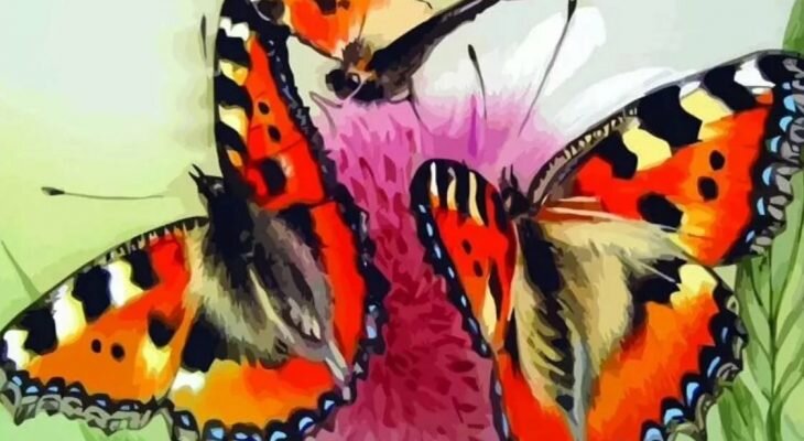 Фотоматериал: все фото с pinterest.ru