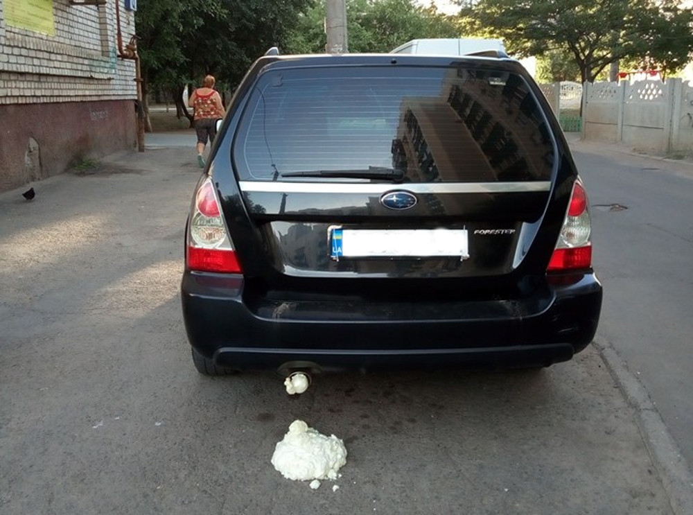 Картинка из свободного доступа