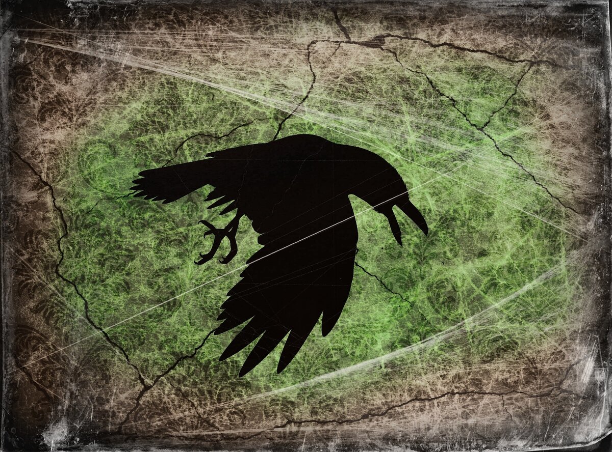 Оборотни или союзники у ведьмы могли быть любые.используется по лицензии creative commons pixabay.com