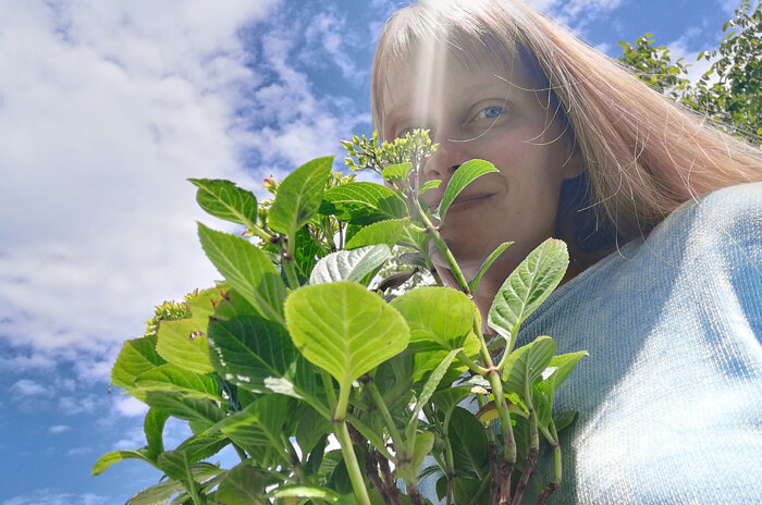 С подаренной гортензией.