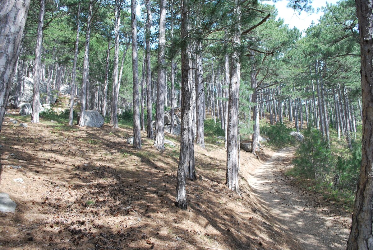 Начало Кореизской тропы. Личное фото