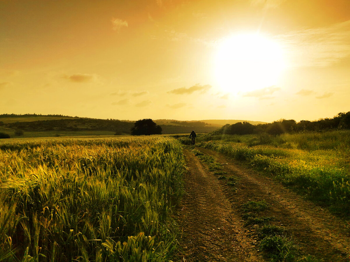 Фотограф: Nika Lerman. 