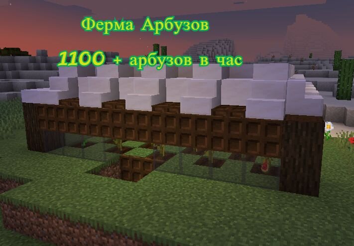 Ферма арбузов