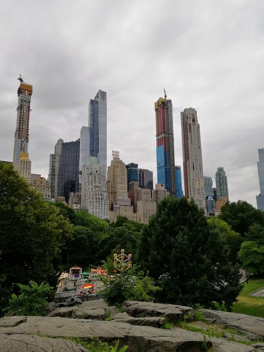 Вид из Центрального парка