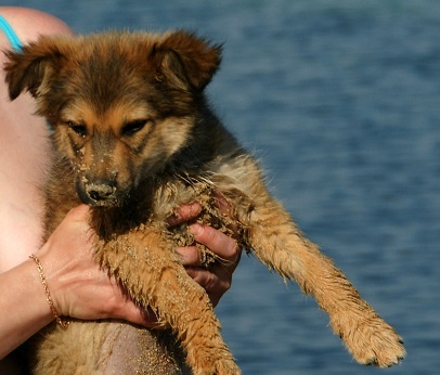 фото из личного архива