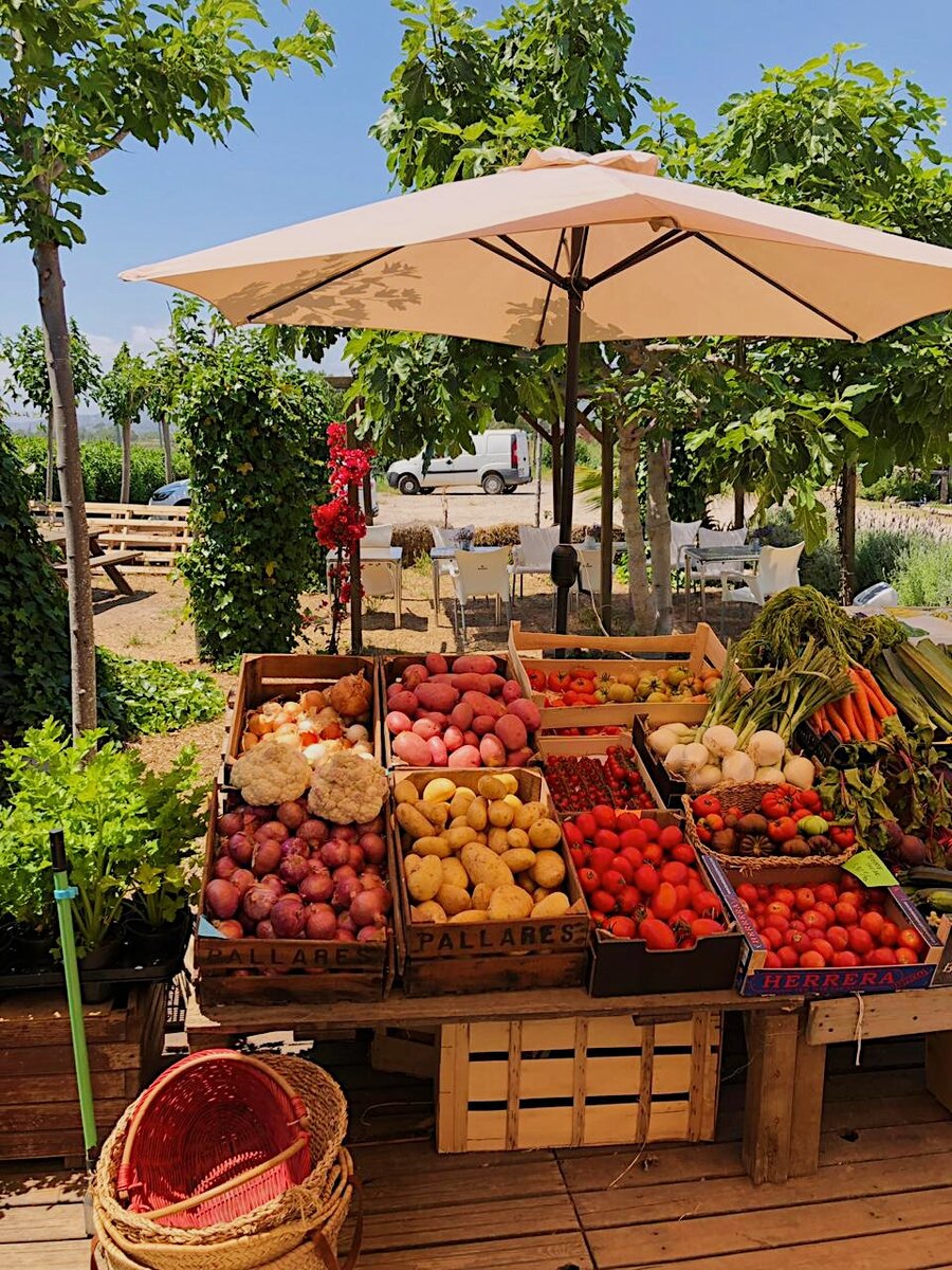 Фото пользователя инстаграм @shiny_ana