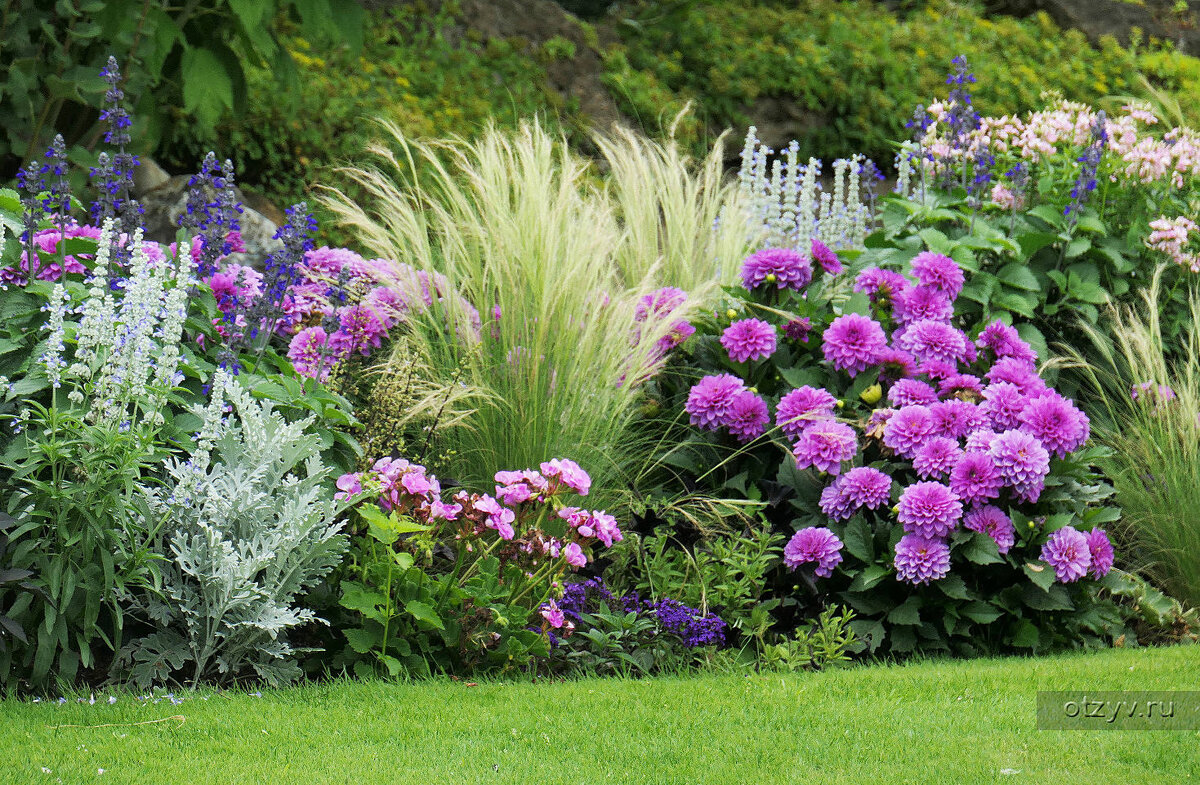 Фото с просторов интернета