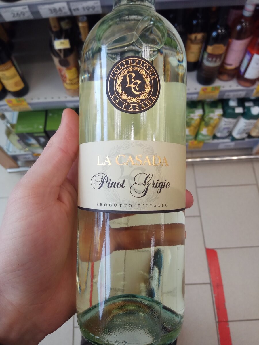 pinot grigio вино фото