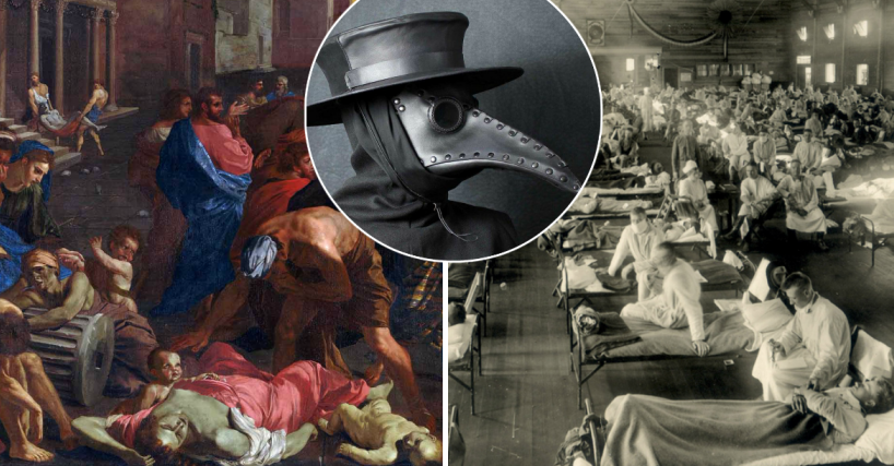 Источник: img.anews.com