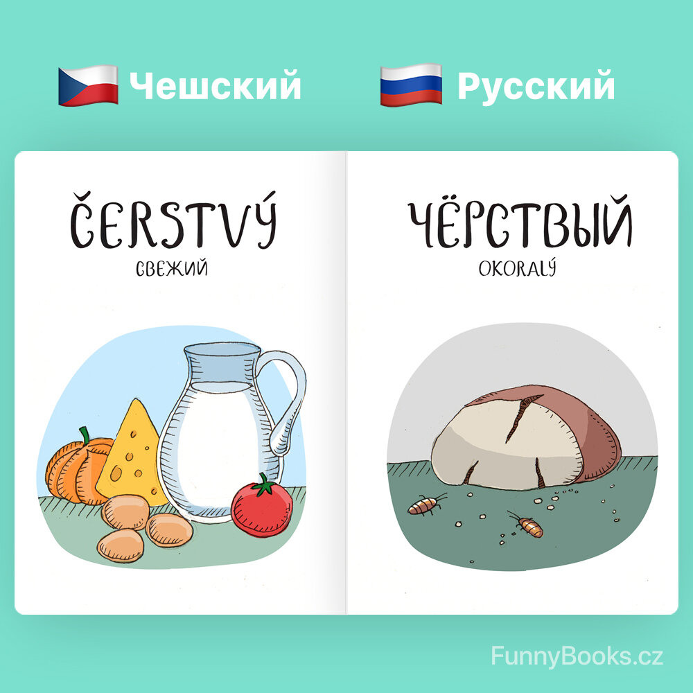 Смешные чешские слова - Еда и продукты | Весёлый словарь | Дзен