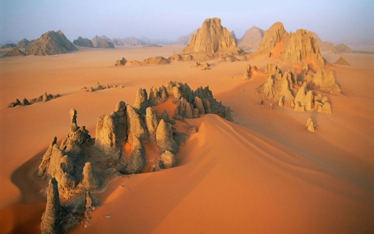 фотография из открытых источников