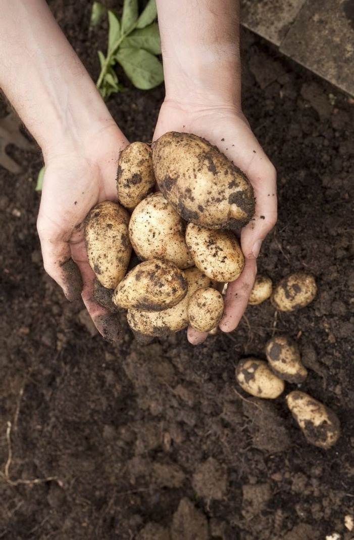 Фото из открытого источника в интернете. 