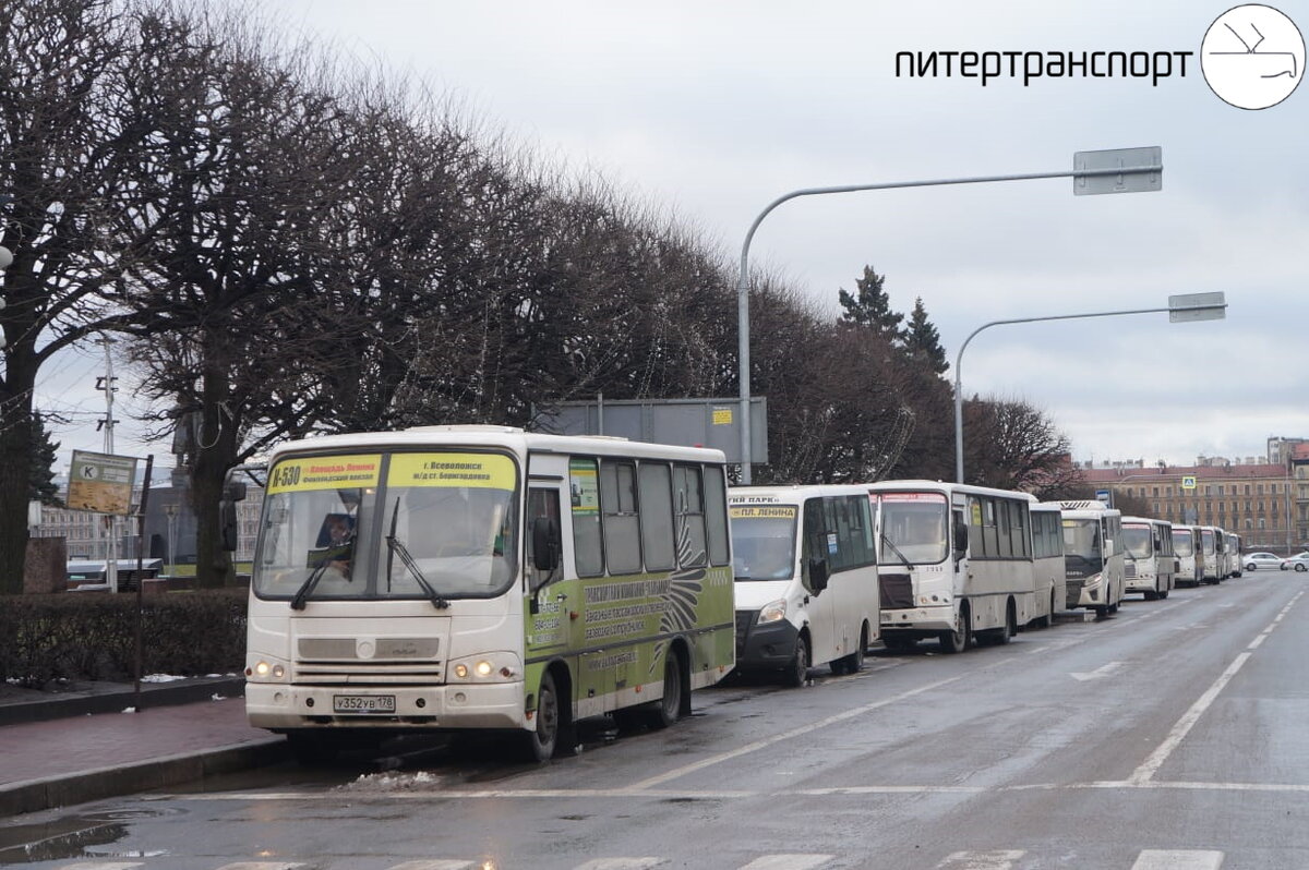 Рады радовать