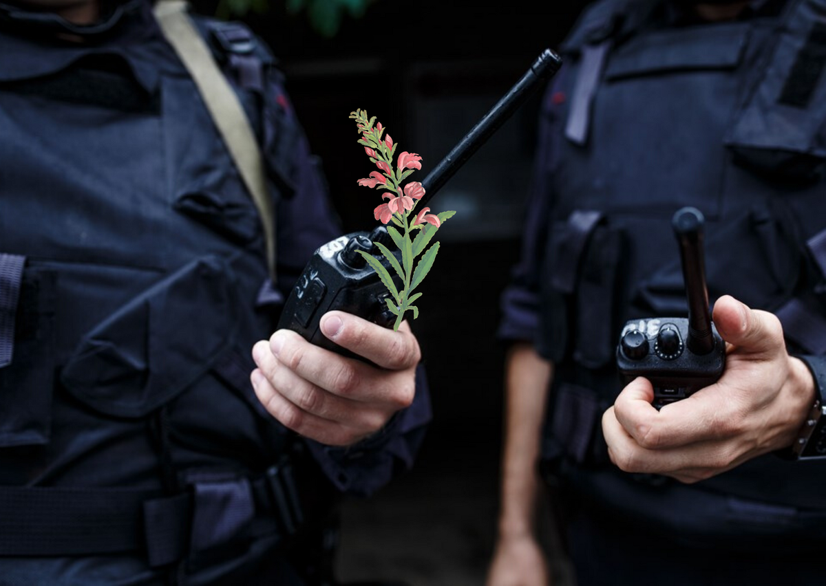 Наверняка этот материал будет для многих неожиданным. Я хочу выразить благодарность всем полицейским, с которыми я сталкивалась в это нелегкое время – начиная с середины апреля, а точнее с введения в Москве и области пропускного режима. К полицейским у меня выработалось отношение не совсем такое, как у большинства моих соотечественников, и для этого есть веские основания. Я уже больше 20 лет работаю бухгалтером, поэтому накопила изрядный опыт общения с представителями налоговых органов. И этот опыт я переношу на любых других наделенных властью товарищей.
 В начале моей карьеры о налоговиках ходили совершенно страшные мифы и все бухгалтеры их боялись как огня. Однако я – скорее всего, интуитивно – нашла к ним прекрасный подход. Уже тогда все удивлялись, как это мне удается добиться такого спокойного и даже порой равнодушного отношения ко мне и к моей деятельности. А я просто поняла, что страх – плохой союзник в деле установления хороших отношений с кем бы то ни было. И стала думать о них не как о врагах, которые сейчас мне выпишут штраф и вообще каким-то образом «накажут», а как о простых людях. Ведь это на самом деле так: они обычные люди, их беспокоят те же проблемы, что и меня:  дети-родители, любовь-морковь  и все в таком духе.  
При всем моем авантюризме и любви к свободе я исключительно осторожная и разумная женщина. И на рожон без крайней необходимости я не полезу никогда. Поэтому я обхожусь без «качания прав» и праведного гнева, считаю, что это путь конфронтации и заведомо проигрышный вариант. Вместо этого я использую мирный позитивный диалог. И помогает мне в этом моя искренняя позиция по отношению к любому исполнителю «человек-человек», а не «каратель»-«жертва».
За 1,5 месяца моих полузаконных перемещений по Москве и Московской области на велосипеде и пешком я несколько раз взаимодействовала с полицией, и всегда это было очень теплое дружеское общение.
Один раз полицейские пустили меня в метро с велосипедом, который не проходил по габаритам. Я их просто попросила. Еще один раз полицейский пропустил меня через турникет, когда моя тройка не сработала (оказывается, не прошло еще 5!!! часов с того момента, как я привязала ее к пропуску). Его я тоже просто попросила меня пропустить. Еще пару раз у меня проверяли пропуск в Лосином Острове (без особых строгостей) и благополучно отпускали. Еще один раз полицейский очень корректно и вежливо попросил меня покинуть закрытую детскую площадку, с которой моя годовалая Василиса пыталась содрать полосатые ленточки. Все остальное время полицейские при встрече со мной принимали скучающий вид и начинали считать листочки на соседнем дереве. 
Отсутствие страха наказания и понимание человеческой природы любого «сотрудника» – вот мой ключ к сердцам представителей закона. «Мы с тобой одной крови – ты и я», - говорил Маугли из старого советского мультика всем животным. И они становились его друзьями. Примерно так же я отношусь ко всем людям, в том числе налоговикам и полицейским. И это чаще всего помогает мне успешно и приятно с ними общаться. Как и им со мной.



